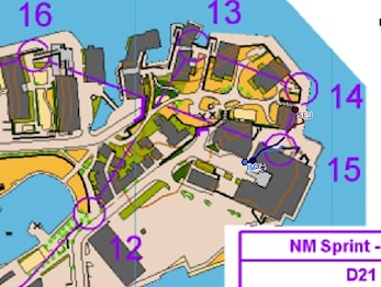 Silje på fjerde i sprint NM